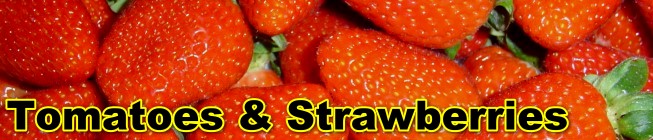 Ricardoes Strawberries